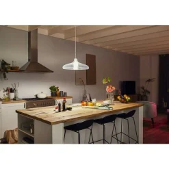 Led E27 15,5 Watt 2200 - 6500 Kelvin 1100 Lumen Philips Hue White