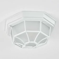 Plafonnier Exterieur Ibacache Blanc, 1 Lumiere