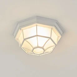 Plafonnier Exterieur Ibacache Blanc, 1 Lumiere