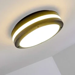 Plafonnier Exterieur Wollongong Led Anthracite, 1 Lumiere