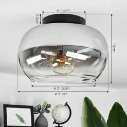 Plafonnier Molloy Clair, Fume, 1 Lumiere