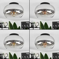 Plafonnier Molloy Clair, Fume, 1 Lumiere