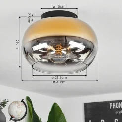 Plafonnier Molloy Or, Clair, Fume, 1 Lumiere