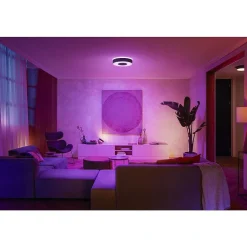 Plafonnier Philips Hue Infuse Led Noir, 1 Lumiere, Changeur De Couleurs