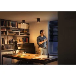 Plafonnier Philips Hue Pillar Led Noir, 1 Lumiere