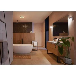 Plafonnier Philips Hue Xamento Led Blanc, 1 Lumiere, Changeur De Couleurs