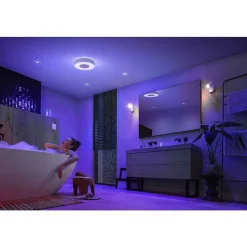 Plafonnier Philips Hue Xamento Led Blanc, 1 Lumiere, Changeur De Couleurs