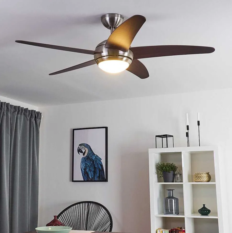 Ventilateur De Plafond Imon Bois Fonce, Nickel Mat, 1 Lumiere, Telecommandes